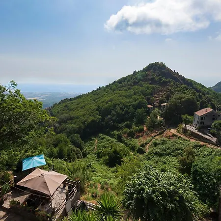 Tribbiolu - Cocon Corse Typique Casa de Férias San-Giovanni-di-Moriani