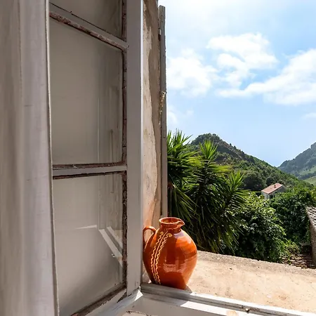 Tribbiolu - Cocon Corse Typique Nyaraló