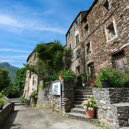 Casa de Férias Tribbiolu - Cocon Corse Typique *